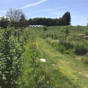 Ferme de Chabaud